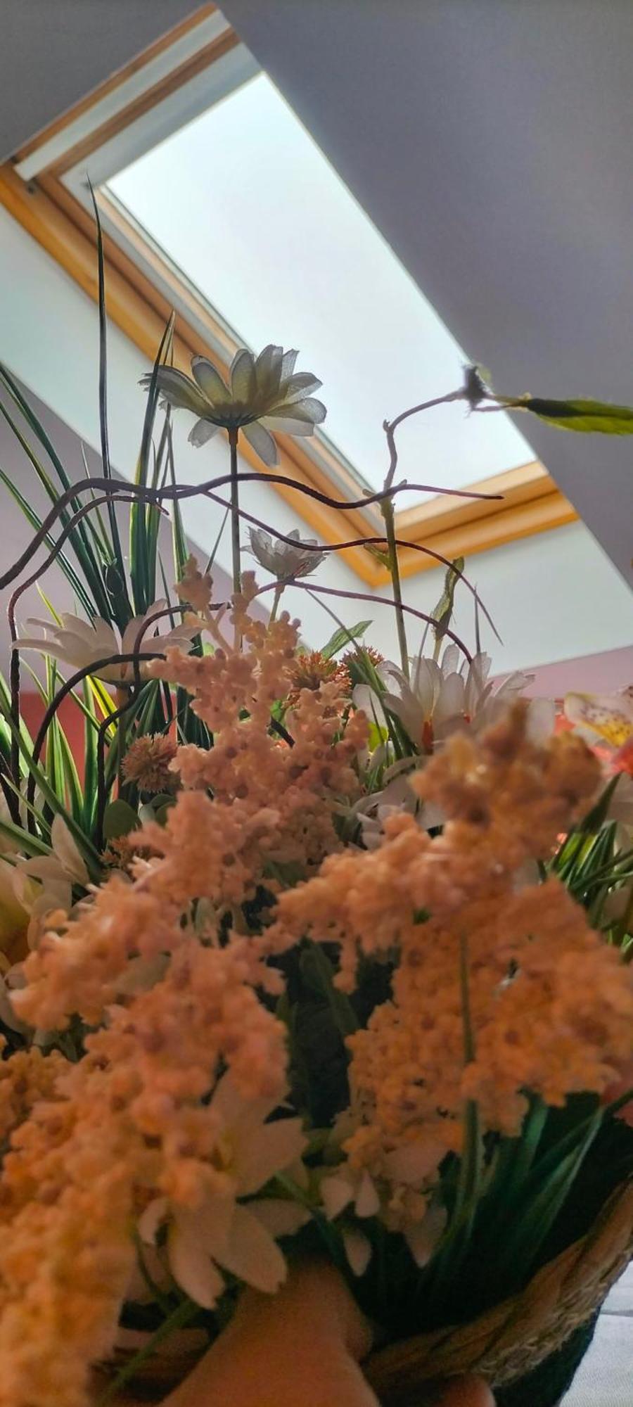 Il Sogno Di Jole Apartament 卡塔尼亚 外观 照片